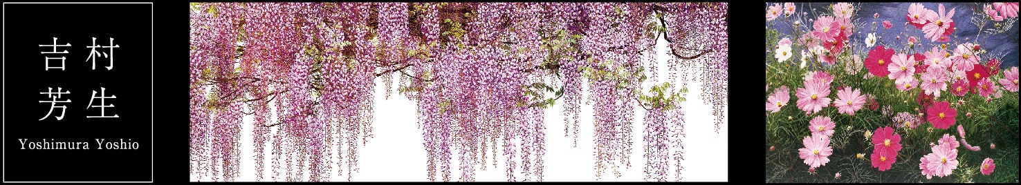 吉村芳生