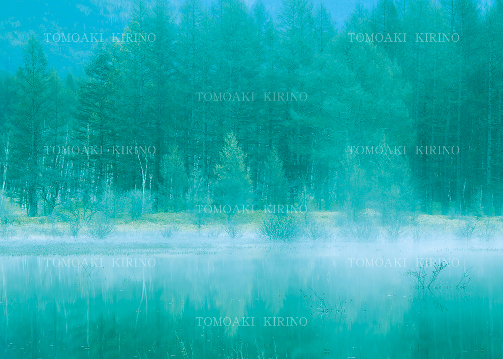 ӂ̋Mwlӂ̋Mwl